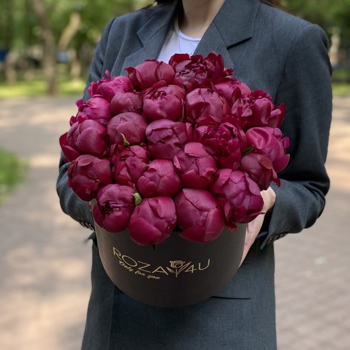 25 пионов Канзас в коробке